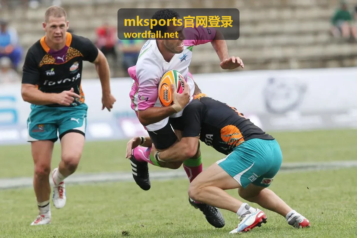 mksports官网登录入口直达操作示意