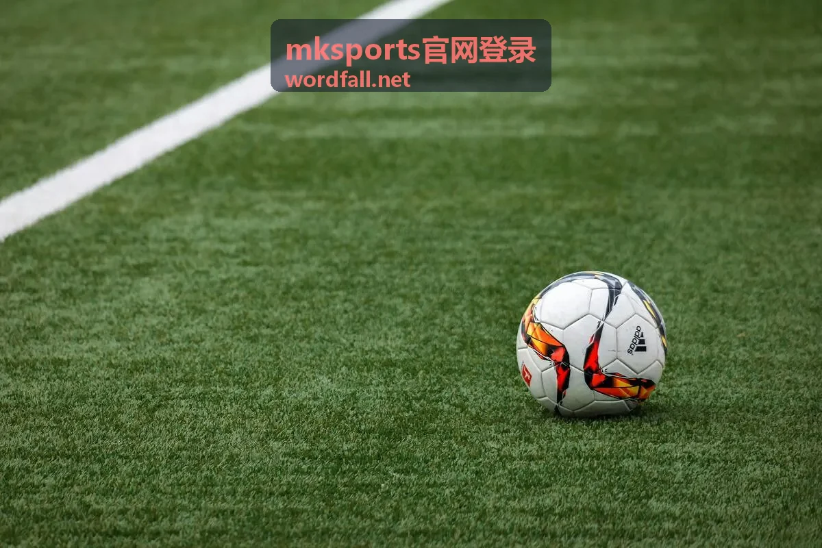 mksports官网登录账号自检与安全核对示意图