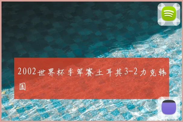 2002世界杯季军赛土耳其3-2力克韩国