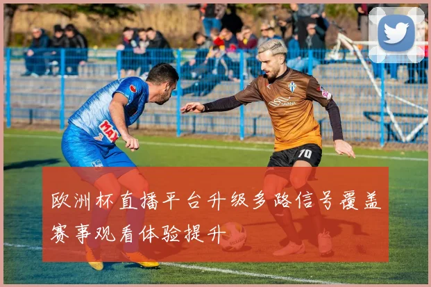 欧洲杯直播平台升级多路信号覆盖赛事观看体验提升