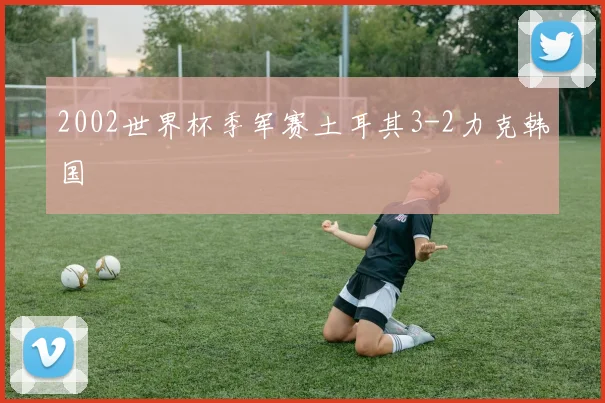 2002世界杯季军赛土耳其3-2力克韩国