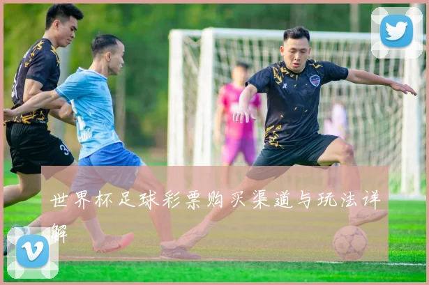 世界杯足球彩票购买渠道与玩法详解